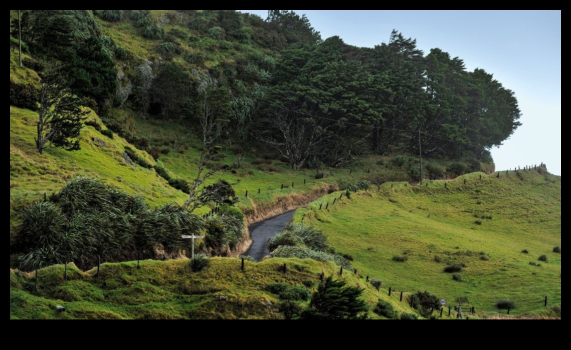 Attālā realitāte: ceļojumu fotogrāfijā neparasts ceļš