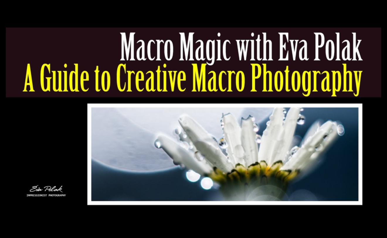 Makro mistika: maza mēroga fotogrāfijas mākslas noslēpumu atšifrēšana