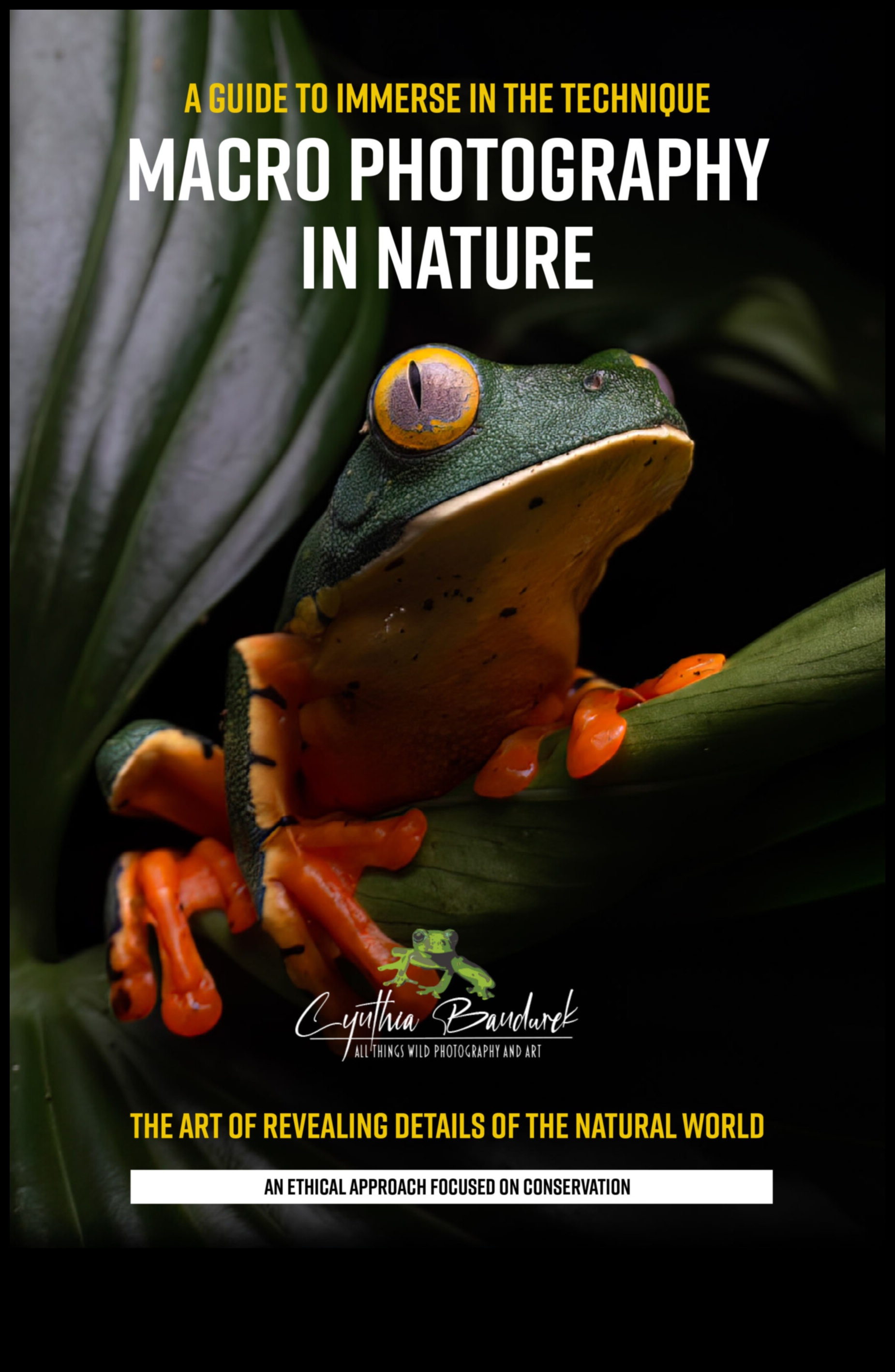 Makro mistika: maza mēroga fotogrāfijas mākslas noslēpumu atšifrēšana