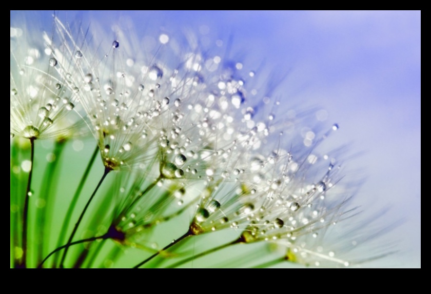 Apgaismojuma maģija: izgaismojiet savus kadrus, izmantojot profesionāļu padomus