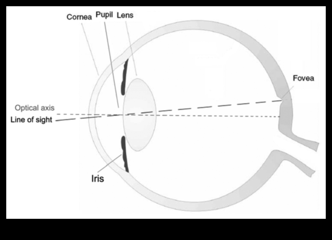 Focus Frontier: robežu pārkāpšana ar modernākajiem objektīviem