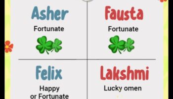 Sweet Serendipity: negaidīti un burvīgi mazuļu vārdi